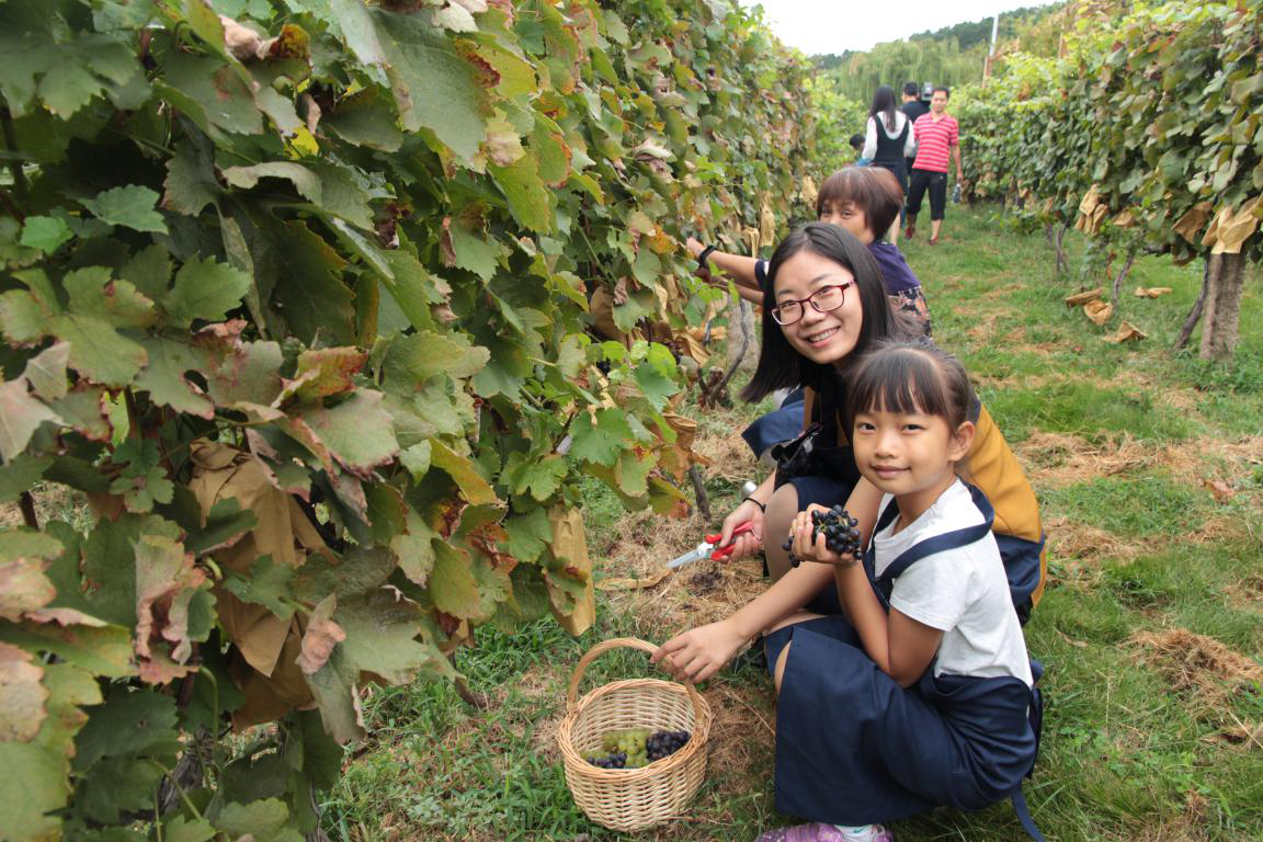 1537864313866823.png 圖片3.png