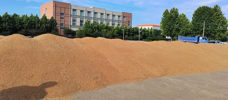 1624414636825139.jpg QQ截圖20210623101236.jpg